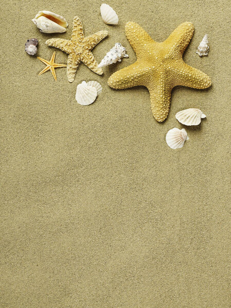 Star fishes on sand