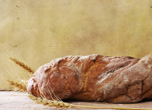 自家製の焼きたてのパン — ストック写真