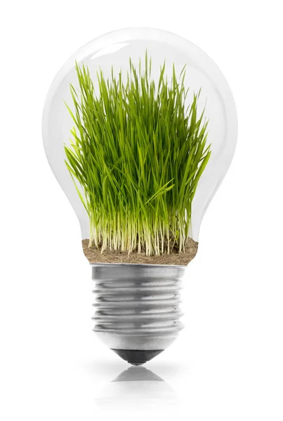 Eco friendly concept — Stock Photo, Image