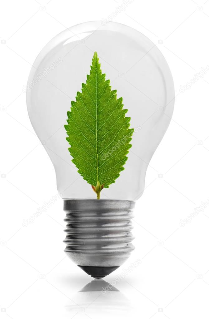 Light bulb with green leaf