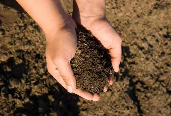 Handful of arable soil — Stock Photo, Image