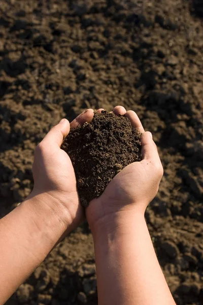 Hands holding soil — Stock Photo, Image