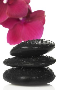 Zen taşlar ve orkide