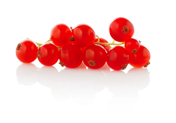 Red currant fruits — Stock Photo, Image