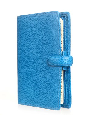 Hafif mavi Organizatör