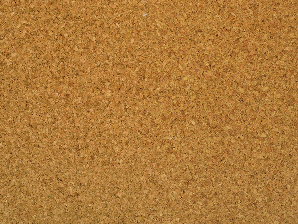 Cork board texture