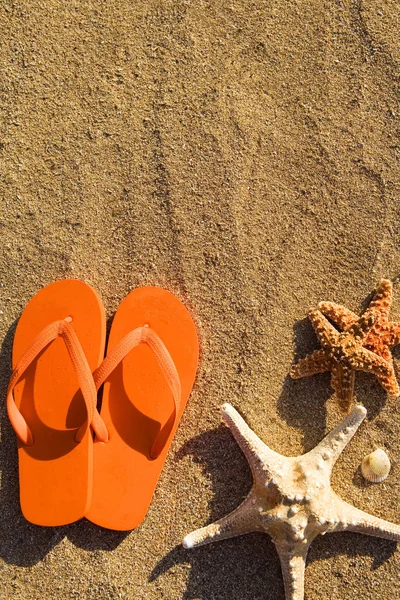 Stranden scen detalj — Stockfoto