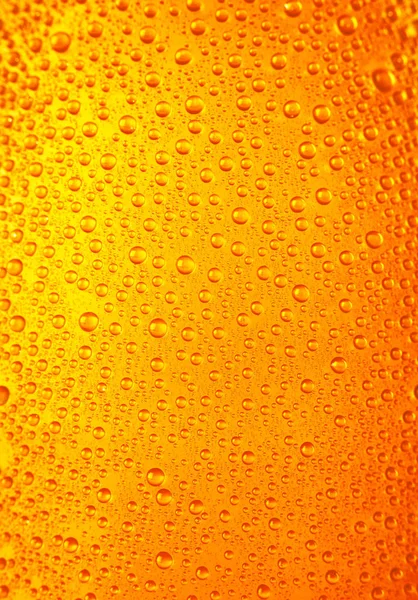 Nemli turuncu arka plan