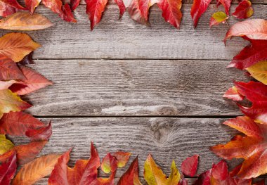 Çerçeve tahta üzerinde yapraklar
