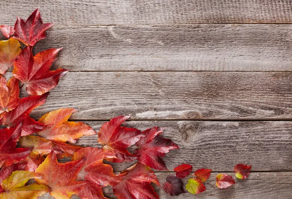 Hojas de otoño sobre madera — Foto de Stock