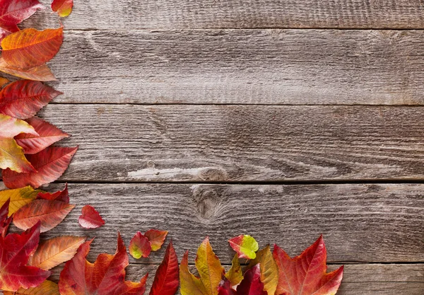 Sonbahar tahta üzerinde yapraklar