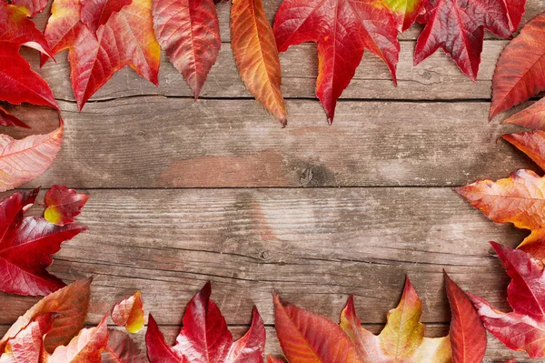 sonbahar yaprakları çerçevesi