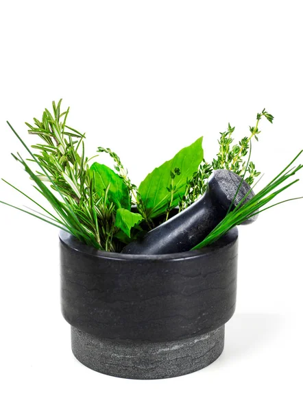 Herbs on white — Stock Photo, Image