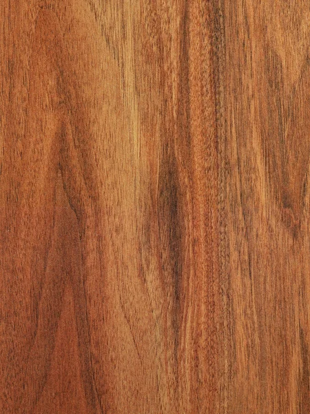 Textura de madera detalle de primer plano —  Fotos de Stock