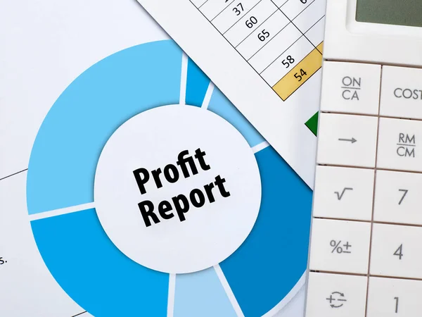 Pojęcie zysku w znaczeniu raport — Zdjęcie stockowe