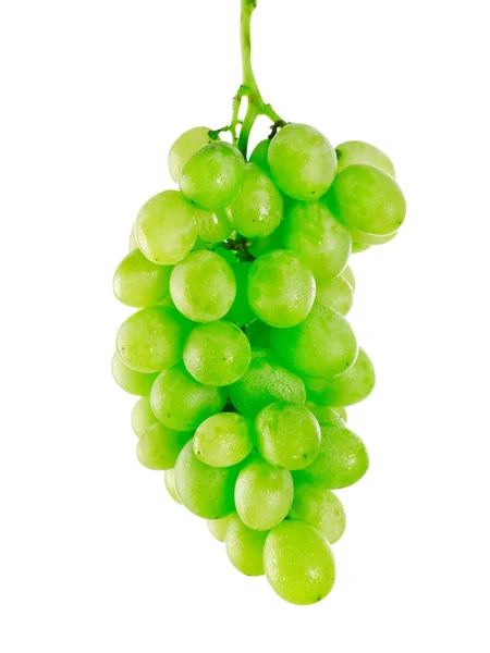 Grapes isolated on white — Stock Photo, Image