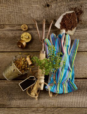 Ahşap Bahçe konsepti