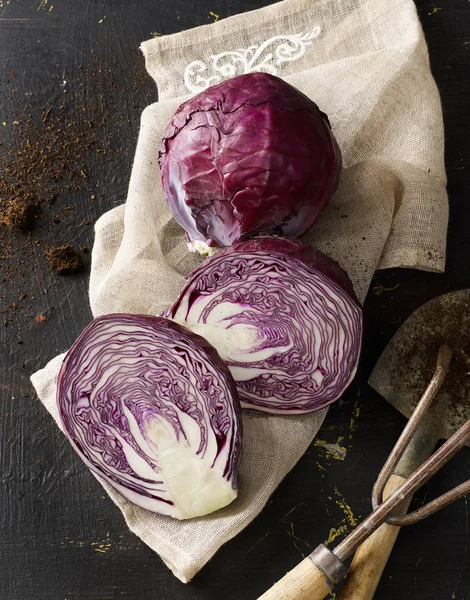 Ev kırmızı lahana büyüdü