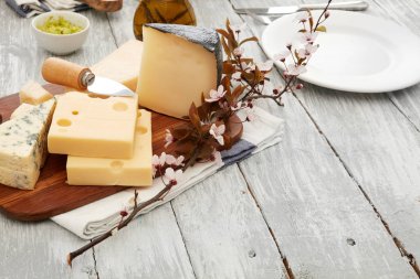 Kesme tahtası üzerinde peynir çeşitleri