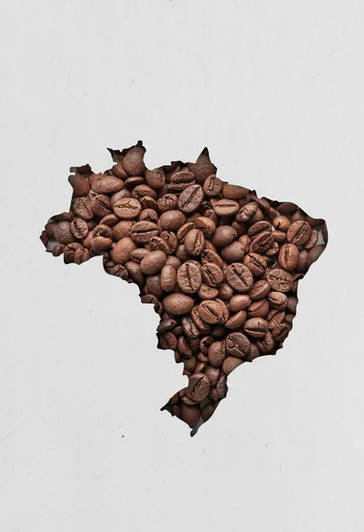 Brazylijska Koncepcja Ziaren Kawy — Zdjęcie stockowe