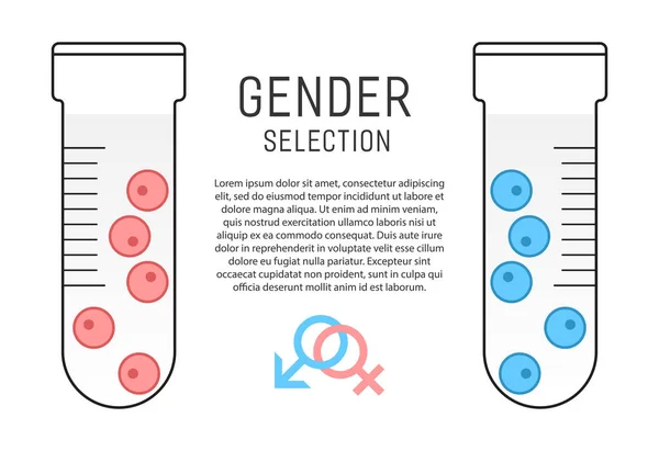 Plakát výběr pohlaví — Stockový vektor