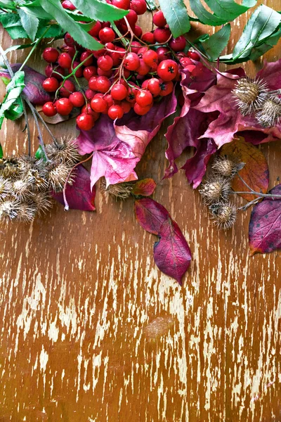Autumn composition of leaves, flowers, berries on wooden background.