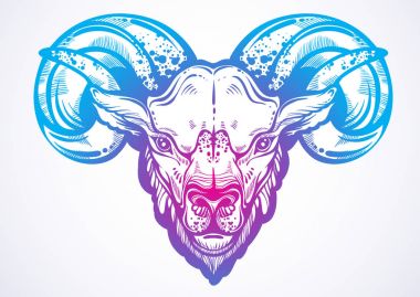 Güzel resim çizilmiş bir RAM. Doğrusal tarzı yüksek detaylı görüntü. Hayvansı vektör illüstrasyon izole. Dövme tasarım, hayvan, doğa, baskı, poster, tekstil.