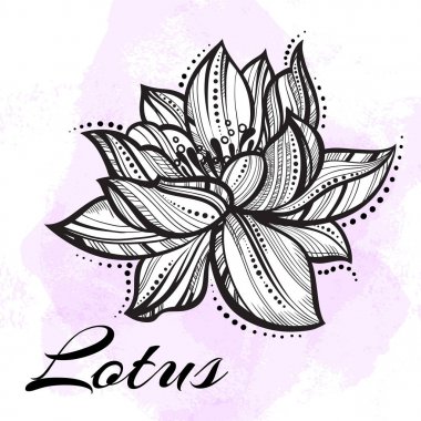 Vector high detailed beautiful Lotus flower. Tattoo, yoga, spiritualy. Engraved art isolated clipart