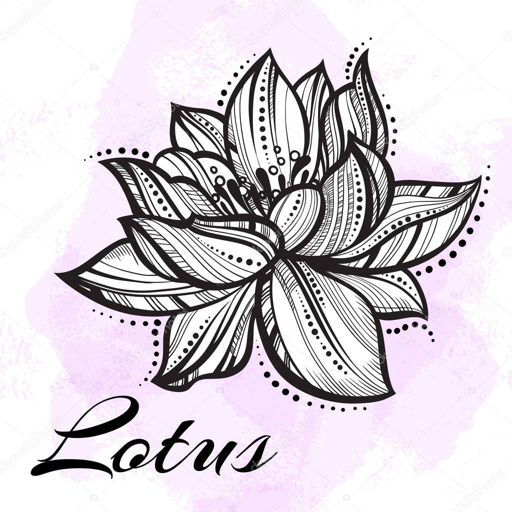 Vector high detailed beautiful Lotus flower. Tattoo, yoga, spiritualy. Engraved art isolated