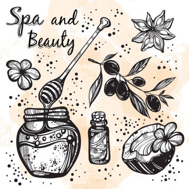 El güzel spa simgeler lineer tarzda çekilmiş. Spa vektör toplama. İzole yüksek detaylı grafik gerçekçi öğeleri. Afiş, tabela, parmak izi. Spa, Masaj salonu. Doğa, organik, Bahçe.