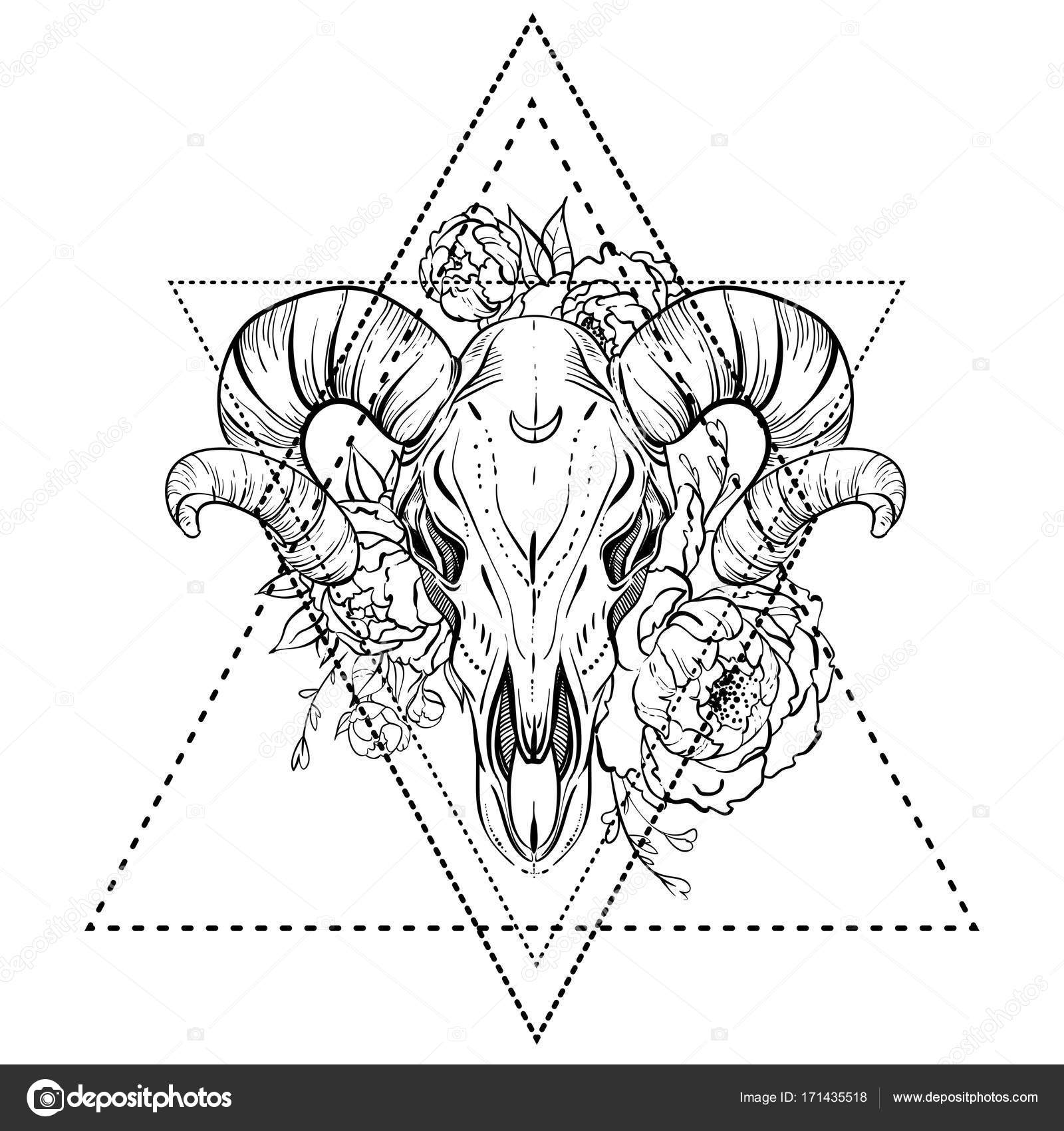 Bull skull with peony flower. Blackwork tattoo flash. Vector illustration  isolated on white. Mystic symbol, dark romance, astronomy. Boho design.  Print, posters, tattoo design, t-shirts and textiles. Stock Vector Image by  © #