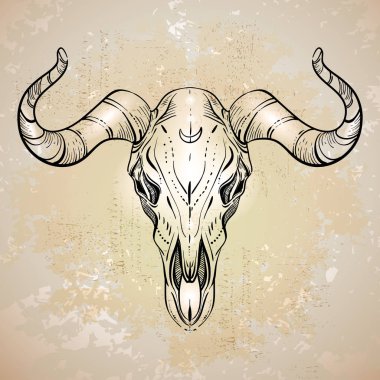 Boho Chic, etnik, Kızılderili boğa kafatası; El Sketch vektör çizim çekilmiş; Bohem afiş, kartpostal, davetiye tasarımı.