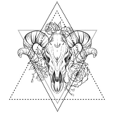 Şakayık çiçeği ile boğa kafatası. Siyahişi tattoo flash. Vektör çizim üzerinde beyaz izole. Mistik sembol, karanlık romantik, astronomi. Boho tasarım. Baskı, poster, dövme tasarım, t-shirtler ve Tekstil.
