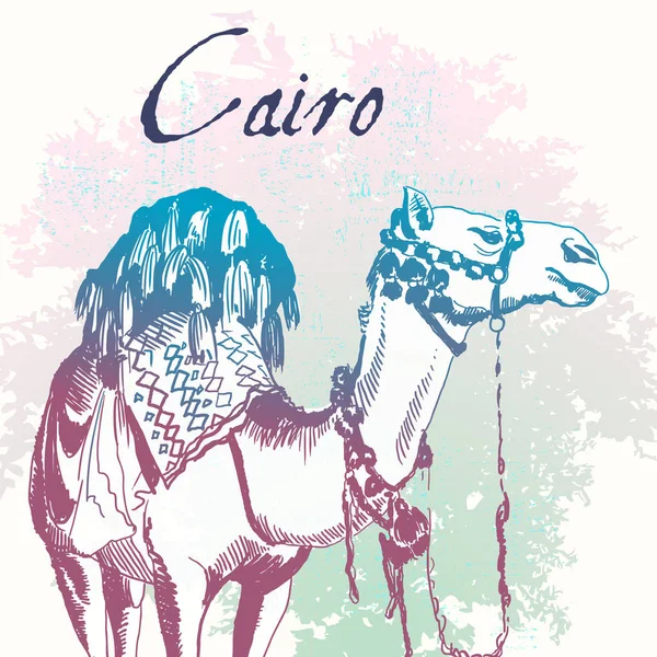 Ilustração vetorial. Camel, Egipto, Kairo. Elemento esboçado à mão para o seu design. Perfeito para convites, cartões etc . — Vetor de Stock