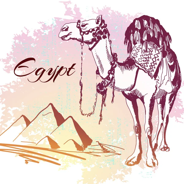 El vektör çizim çekilmiş. Mısır. Deve ve Piramitler.