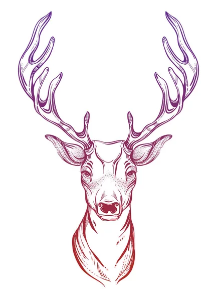 Deer Head in line art syle (en inglés). Ilustración vectorial aislada en blanco . — Archivo Imágenes Vectoriales