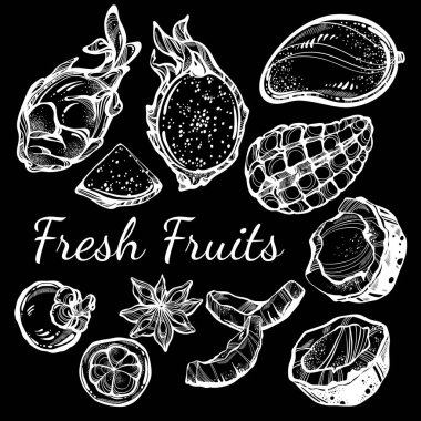 Taze meyve vektör toplama lineer tarzda. İzole grafik meyve çizilmiş. Vejetaryen/vegans, fruitarians mükemmel menü şablonu. Organik, Pazar, Dükkanı, meyve sembolleri, sağlıklı yaşam tarzı.