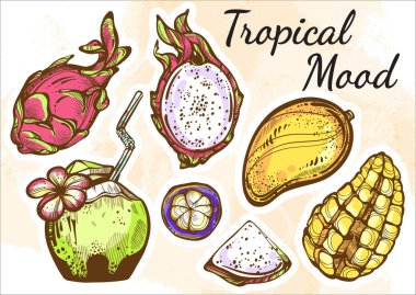 Taze meyve güzel ayrıntılı vektör kümesi. İzole tropikal meyve çizilmiş. Vejetaryen/vegans, fruitarians mükemmel menü şablonu. Organik, Pazar, Dükkanı, meyve sembolleri, sağlıklı yaşam tarzı.