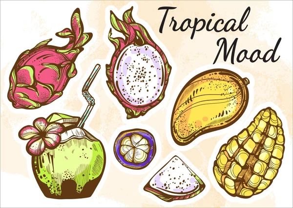 Friss gyümölcsök szépen részletes vektor készlet. Kézzel rajzolt trópusi gyümölcsök elszigetelt. Tökéletes menü sablon vegetáriánus/vegans, fruitarians. Szerves, piac, üzlet, a gyümölcs-szimbólumok, egészséges életmód. — Stock Vector