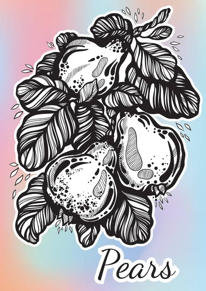 Hand drawn beautiful artwork of pears surrounded by foliage. Beautifully detailed vector illustration in linear style. Organic, market, shop, fruit symbols, eco. Vegetarian/vegans lifestyle. — Stock Vector