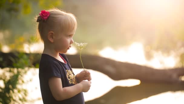 Petite fille avec une fleur sur la nature — Video