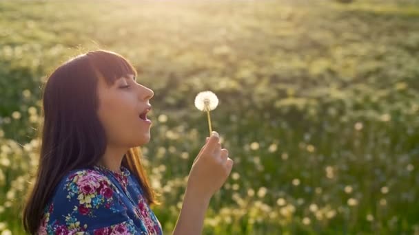 Woman Blowing on a Dandelion — Stock Video