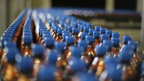 Botellas en una fábrica de cintas transportadoras — Vídeos de Stock