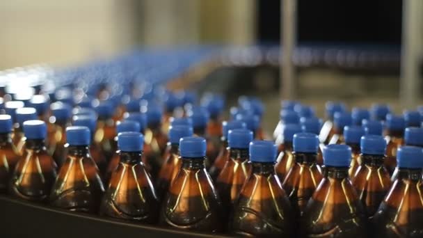 Пластиковые бутылки пива на конвейерной ленте — стоковое видео