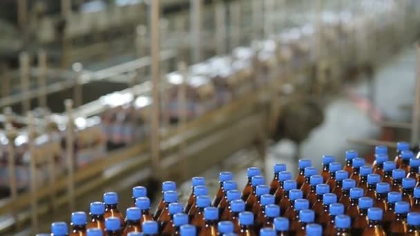 Producción de cerveza en la fábrica — Vídeo de stock