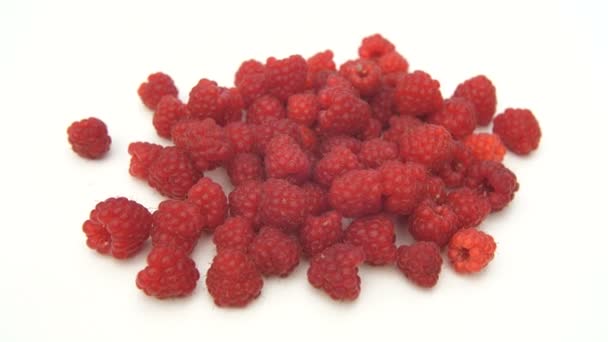 Raspberries on white background — Stock Video