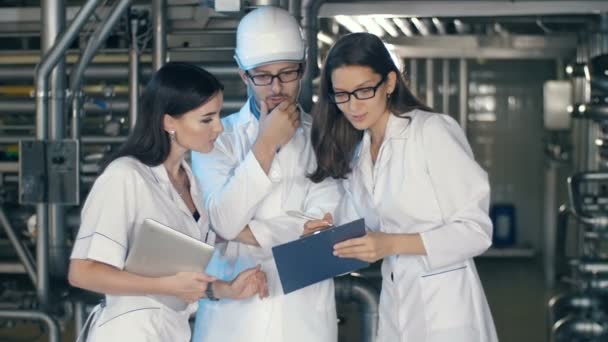 Equipa de inspectores que trabalham na refinaria — Vídeo de Stock