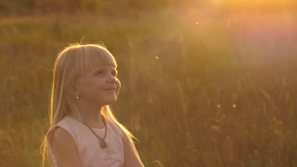 Schattig klein meisje draait op veld — Stockvideo