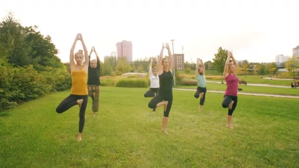 Grupp människor yogar på naturen — Stockvideo