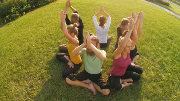 Genç insanlar doğa yoga yapar — Stok video
